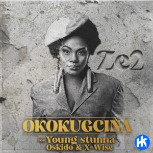 Ze2 Okokgcina artwork