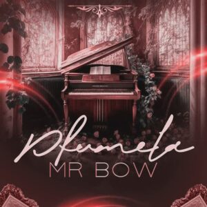 Mr Bow